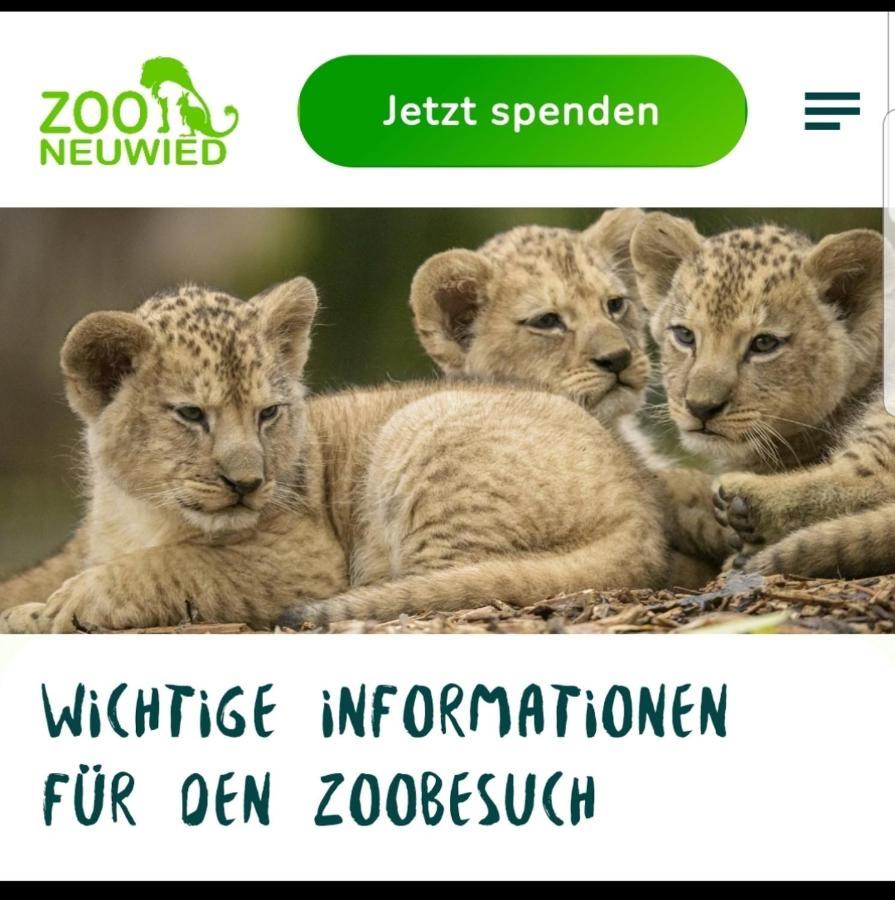 Fewo Mit Terasse Neuwied & Koblenz 외부 사진